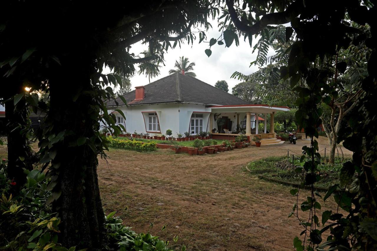 Devi Villa - Plantation Retreat And Forest Getaway Kutta Eksteriør billede